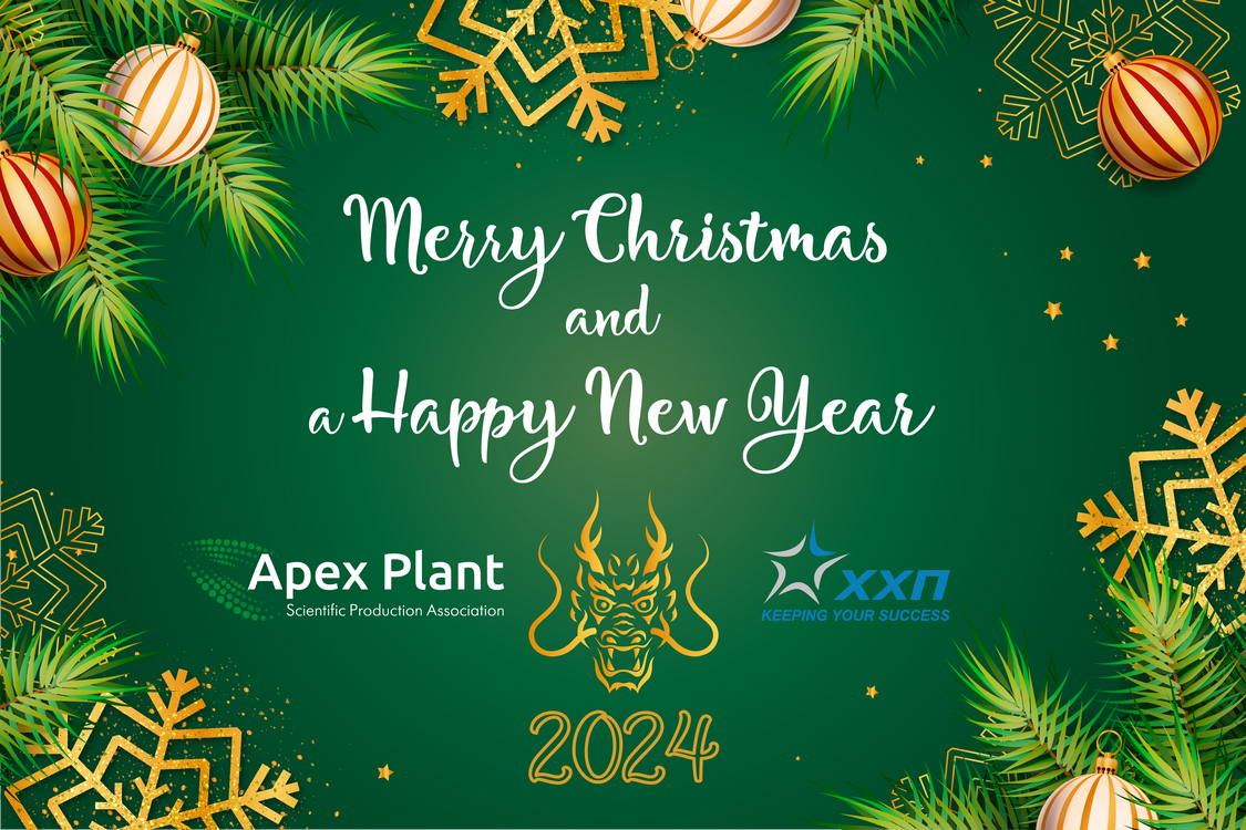 Merry Christmas and  a Happy New Year 2024!